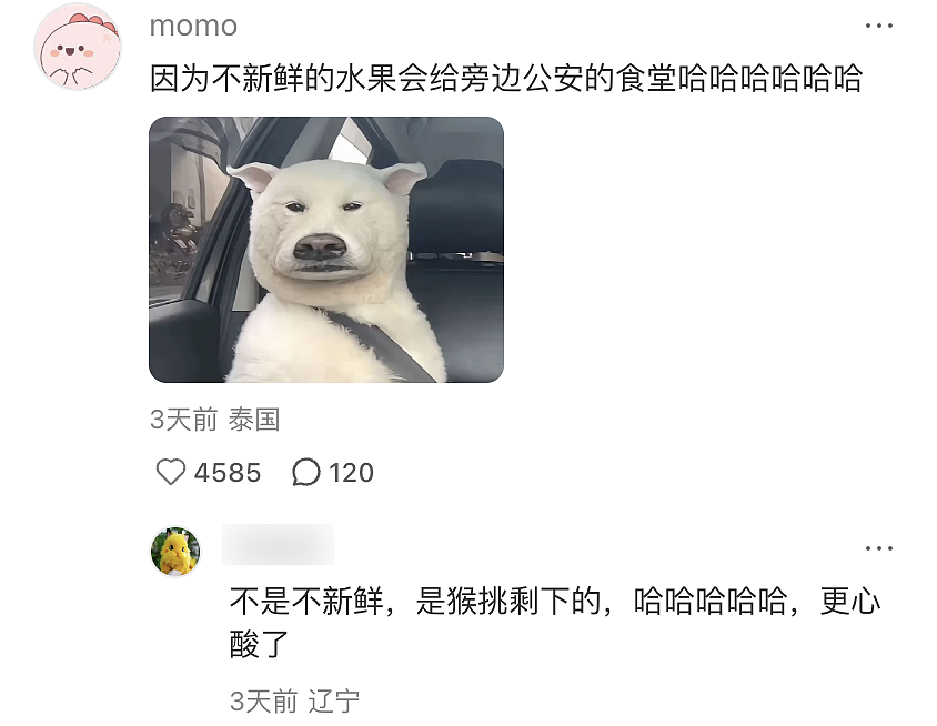 【爆笑】“网友拍live图能有多社死?”哈哈哈哈哈哈哈哈每帧都是在精神攻击(组图) - 57