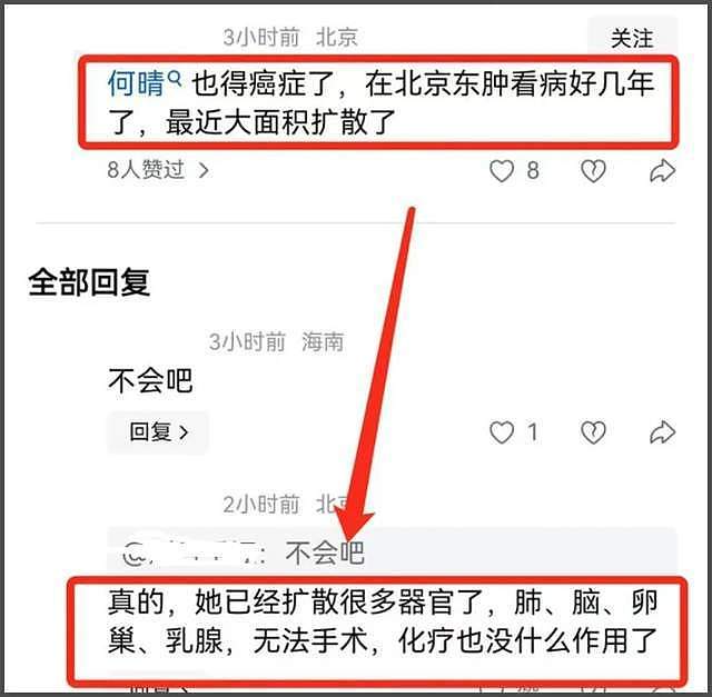 何晴离世年仅61岁！生前因脑瘤淡出娱乐圈，后患癌扩散无法手术（组图） - 7