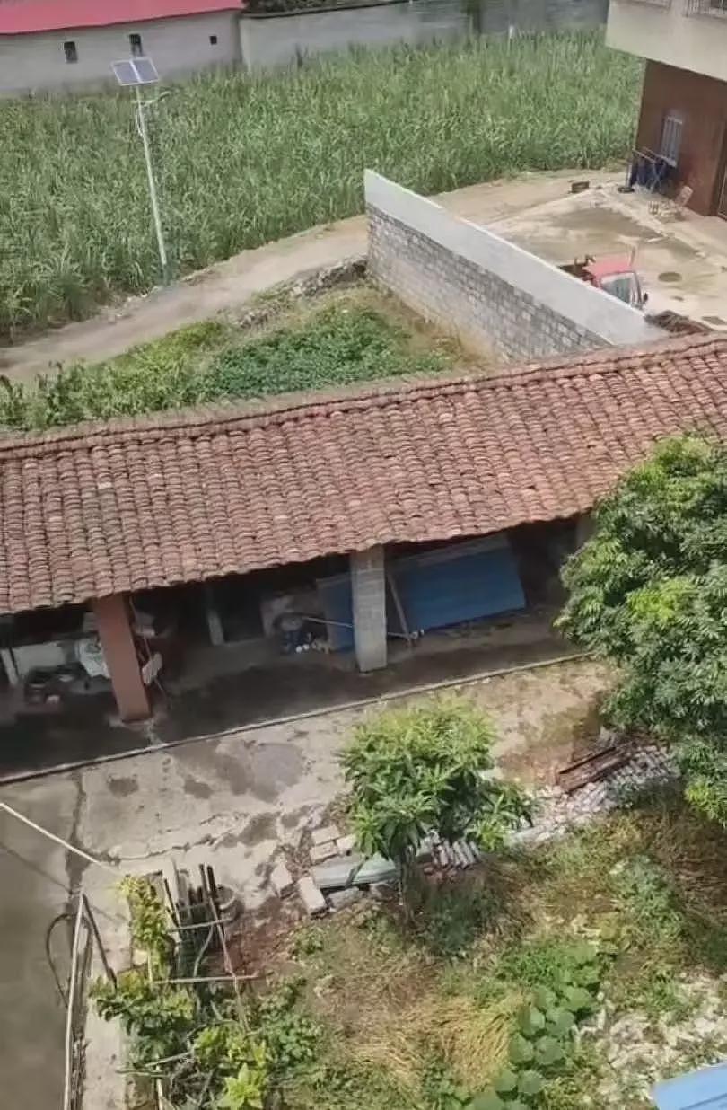 “男子改装射钉枪射杀邻居夫妇案”二审将开庭(图) - 1