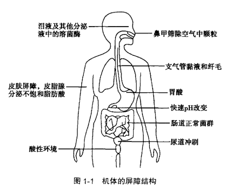 免疫力是最好的“医生”!9种方法轻松提升,其余统统不靠谱(组图) - 2