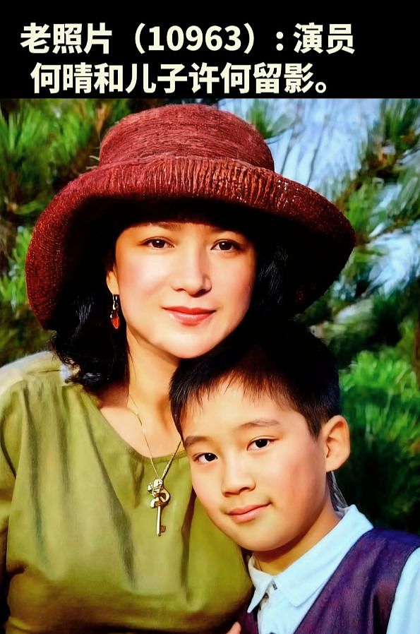 何晴去世后续：同学曝其生前诸多苦恼，儿子出生户口不能上自己家（组图） - 1