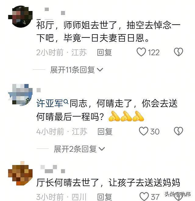“最美小乔”何晴去世！原因令人惋惜，前夫许亚军评论区沦陷（组图） - 7
