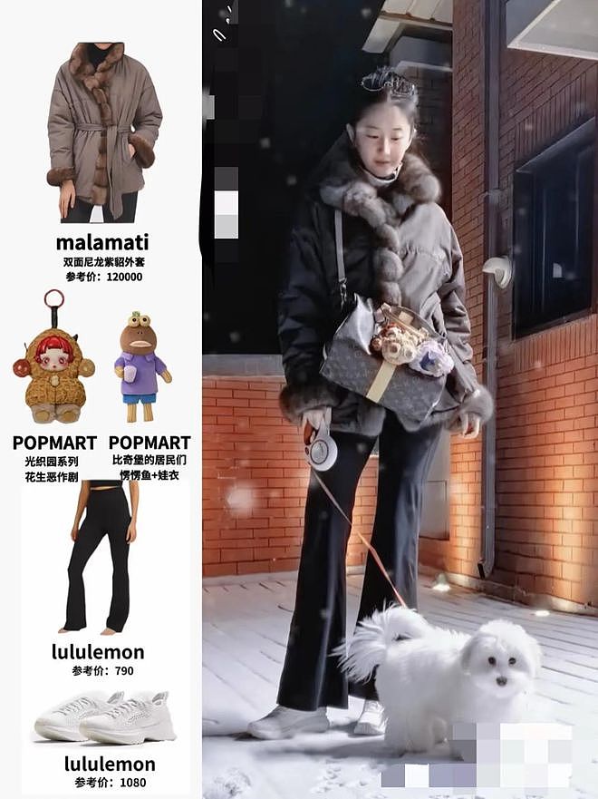 刘亦菲更新初雪美图，穿12W外套雪中遛狗，素颜美的像18岁一样（组图） - 3