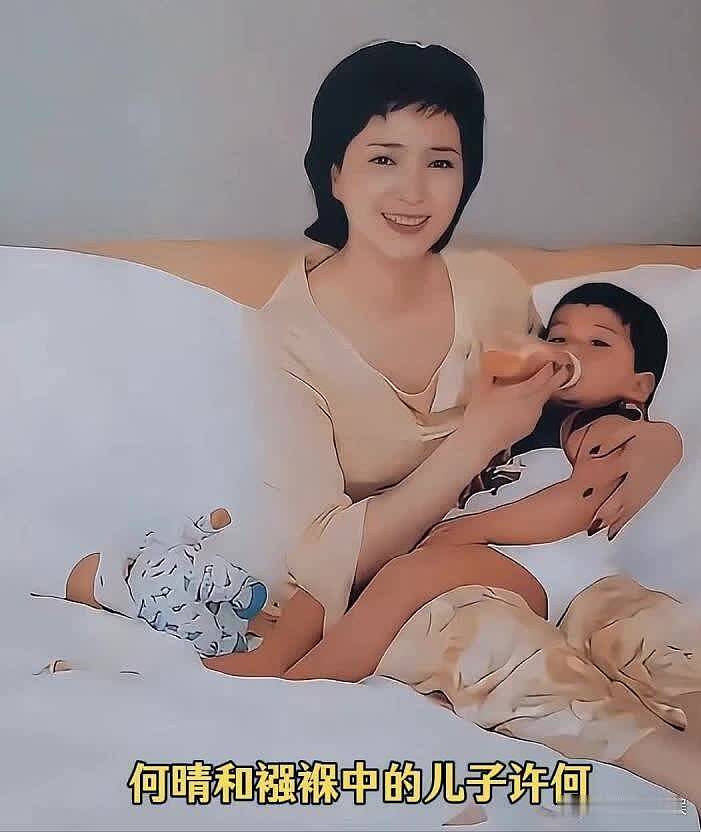 何晴生前遗憾曝光,儿子行为惹争议,母亲生病他忙着拍杂志,和继母关系好(组图) - 1