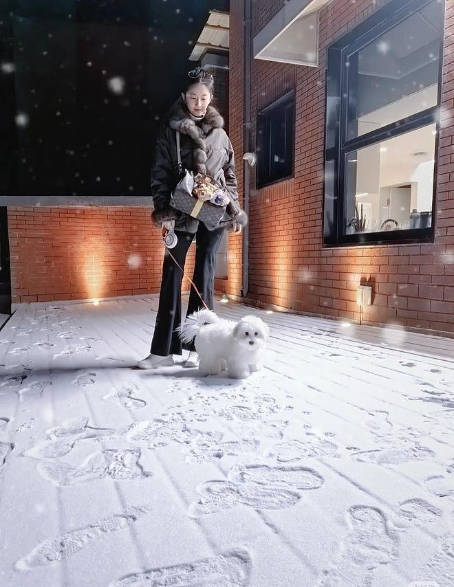 刘亦菲更新初雪美图，穿12W外套雪中遛狗，素颜美的像18岁一样（组图） - 1