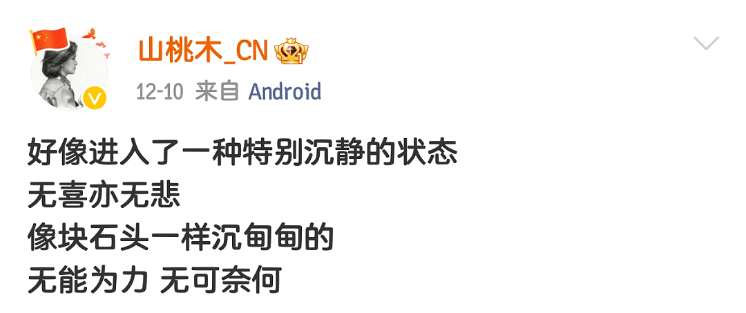 悲痛！著名女演员何晴病逝！生前最大谣言被澄清：未再婚廖京生，一生只结过一次婚（组图） - 8