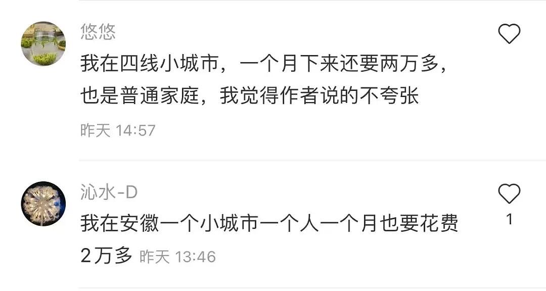 上海一家三口月开销6万引热议:多少钱才能过上体面的中产生活?(组图) - 4