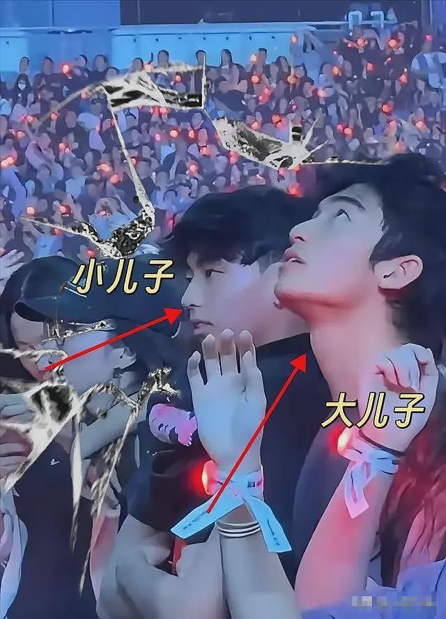 没男友乱生娃？刘嘉玲的爆料揭开张柏芝多年生育执念的真相（组图） - 12
