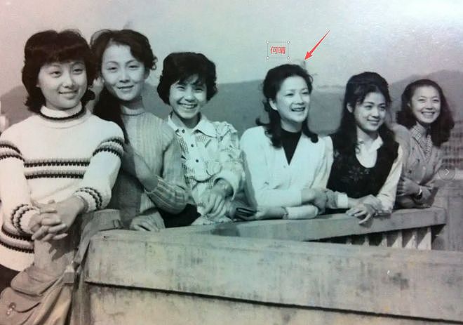 何晴去世后续：同学曝其生前诸多苦恼，儿子出生户口不能上自己家（组图） - 4