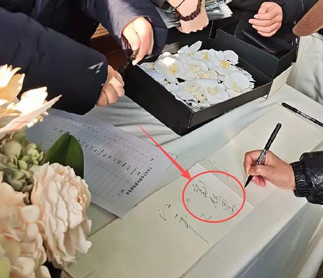 何晴儿子捧骨灰现身,自曝母亲临终很安详,在她最爱的下雪天离世(组图) - 20