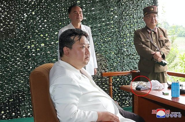 韩媒:继金正恩后,胞妹金与正亦疑似用中国折叠手机(组图) - 3