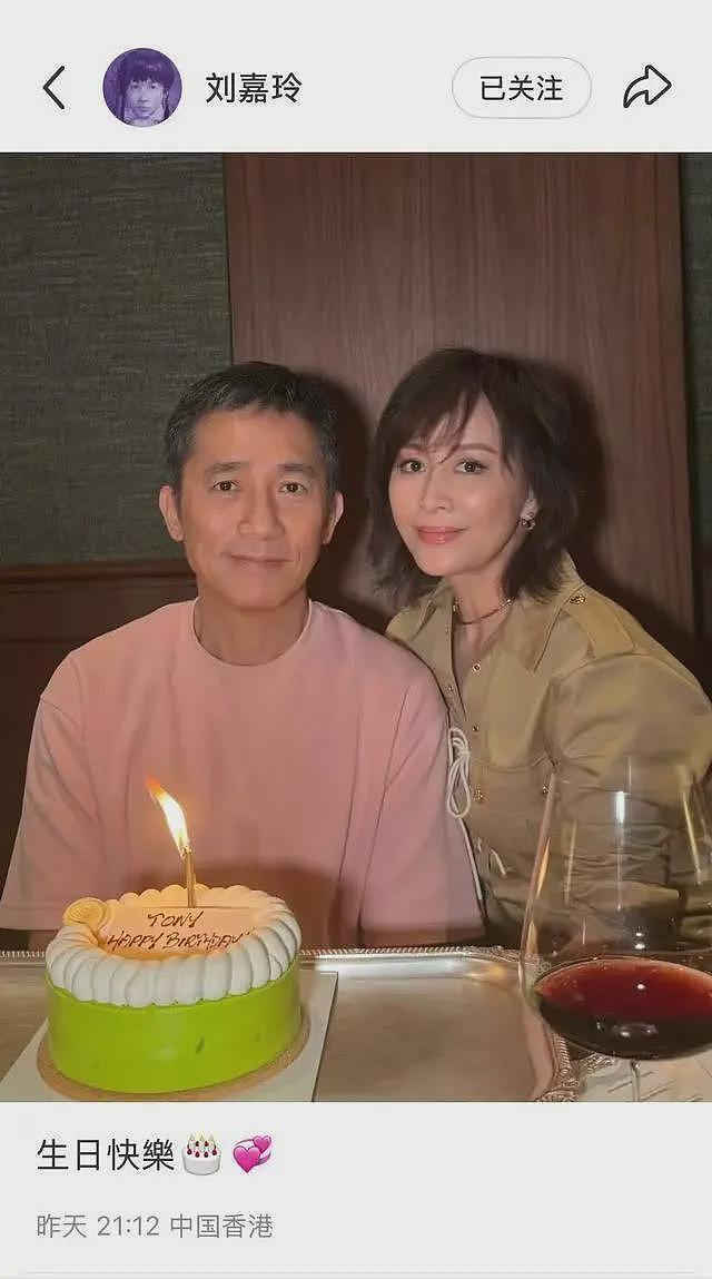 没男友乱生娃？刘嘉玲的爆料揭开张柏芝多年生育执念的真相（组图） - 23