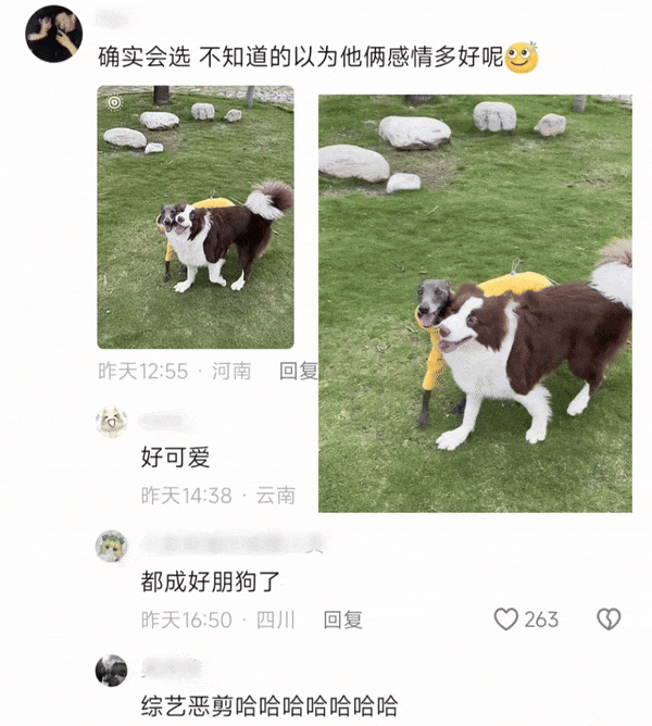 【爆笑】“网友拍live图能有多社死?”哈哈哈哈哈哈哈哈每帧都是在精神攻击(组图) - 9