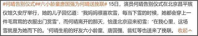 何晴儿子捧骨灰现身,自曝母亲临终很安详,在她最爱的下雪天离世(组图) - 7
