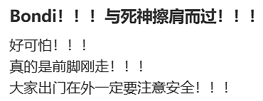 已致16死40伤，10岁儿童遇难！澳洲悉尼海滩遭恐袭，华人亲历：“枪手离我10米”（组图） - 18