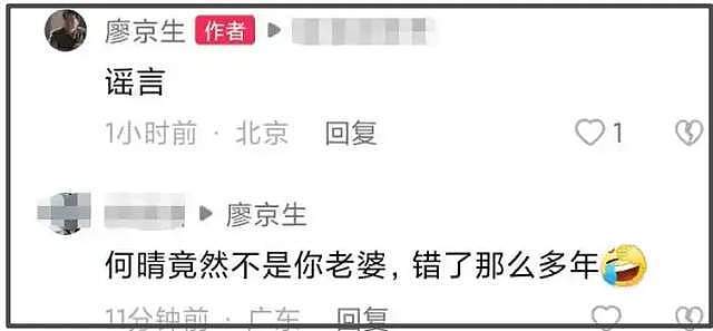 何晴离世年仅61岁！生前因脑瘤淡出娱乐圈，后患癌扩散无法手术（组图） - 12