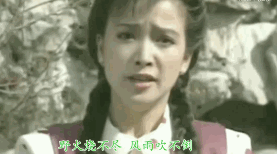 “第一古典美人”突然离世：何晴这张脸，骗了多少人（组图） - 9