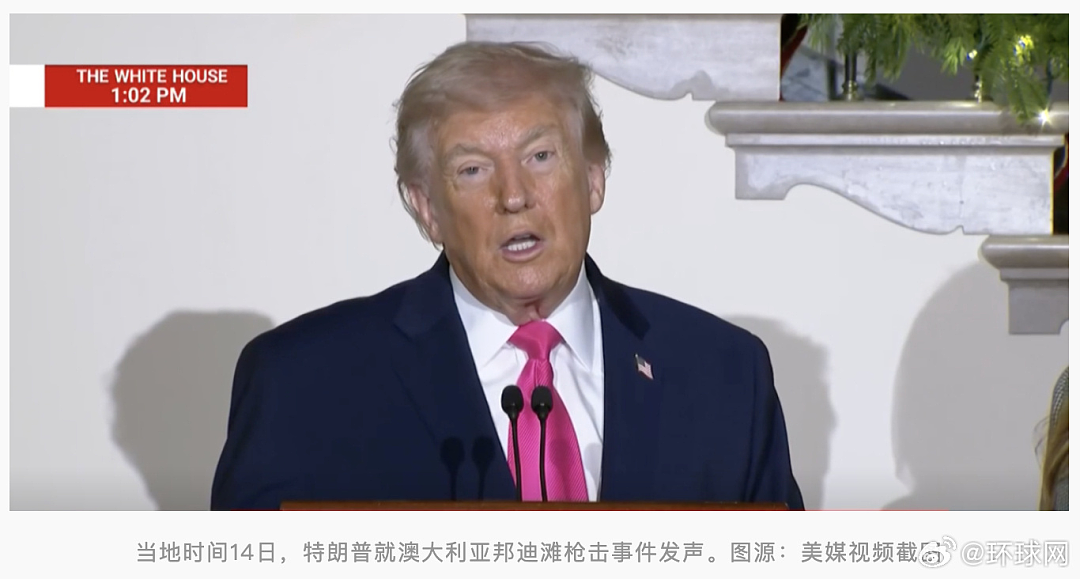 特朗普就澳洲迪滩枪击事件发声:那里的局势非常糟糕,向那名挺身而出攻击枪手的人致敬(组图) - 1