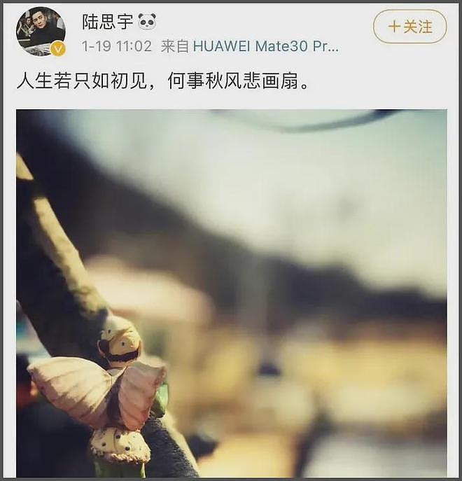 郑爽疑似对初恋陆思宇意难平，制作短剧曝分手原因，精神出轨张翰（组图） - 16