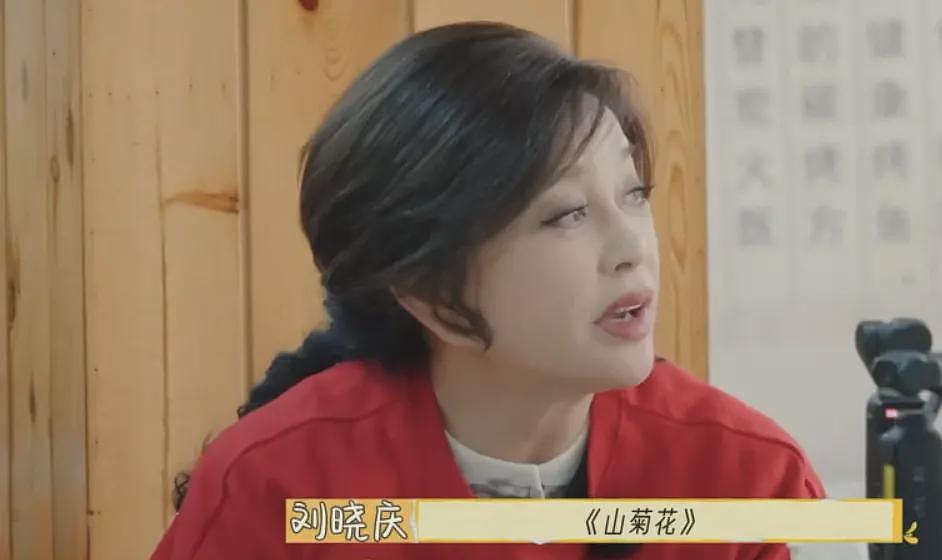 00后的“梦中情奶”倪萍，牛得像活了三辈子（组图） - 24