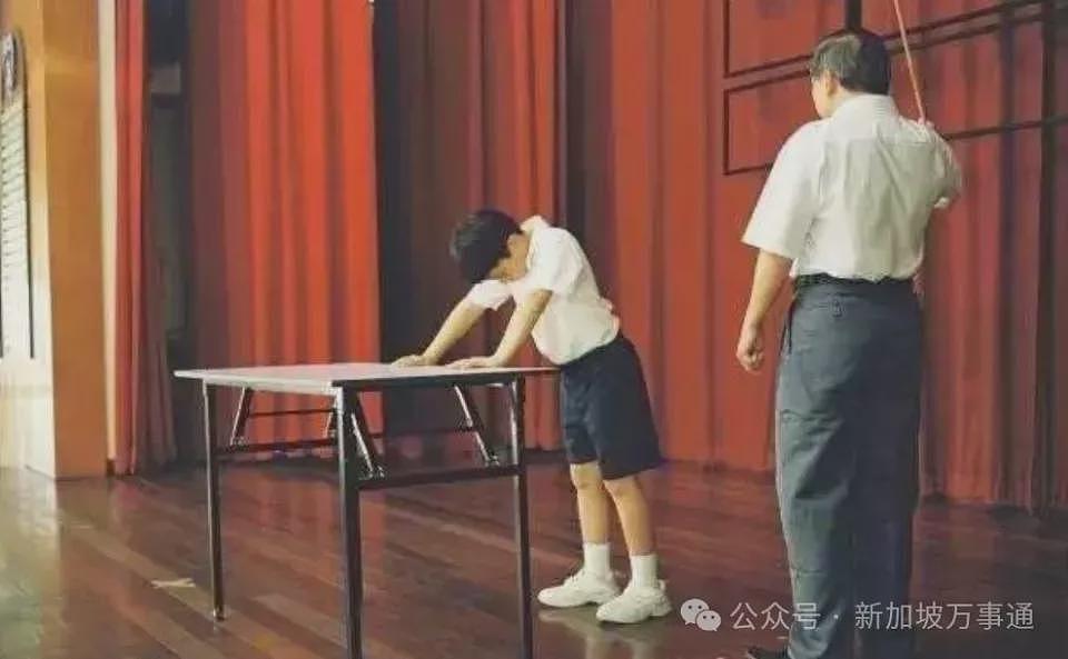 中国留学生经历新加坡校园“十宗罪”，最可怕不是霸凌而是...（组图） - 11