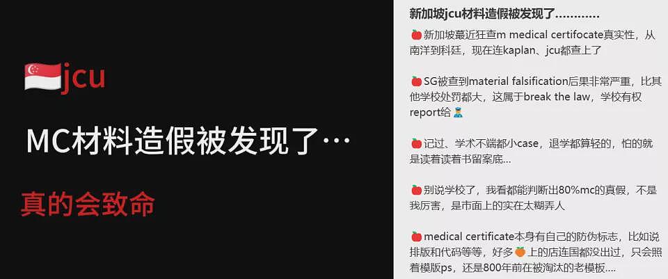 中国留学生经历新加坡校园“十宗罪”，最可怕不是霸凌而是...（组图） - 20