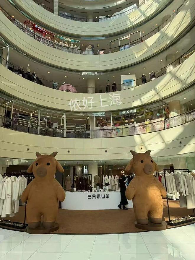 上海久光“悬衣阵”已撤下!杨幂代言品牌展陈遭群嘲!网友:幂级恐惧犯了(组图) - 12