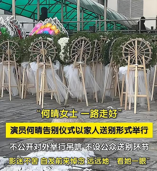 何晴葬礼举行！儿子手捧骨灰，遗像曝光惹泪目，廖京生现身送别（组图） - 15