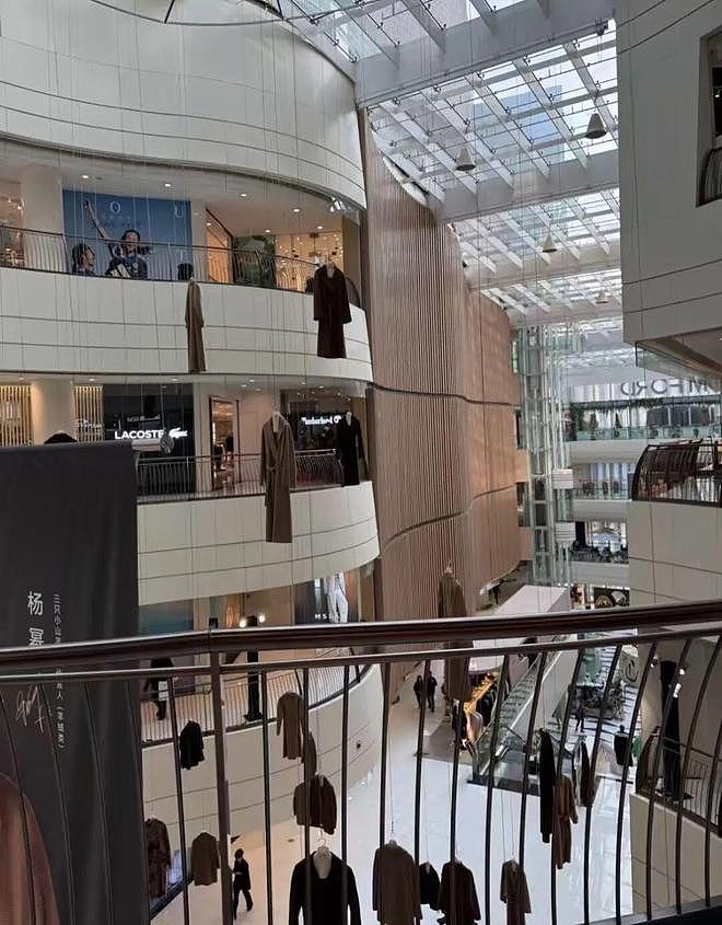 上海久光“悬衣阵”已撤下!杨幂代言品牌展陈遭群嘲!网友:幂级恐惧犯了(组图) - 8