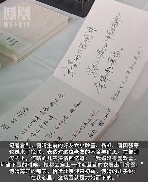 何晴葬礼举行！儿子手捧骨灰，遗像曝光惹泪目，廖京生现身送别（组图） - 18