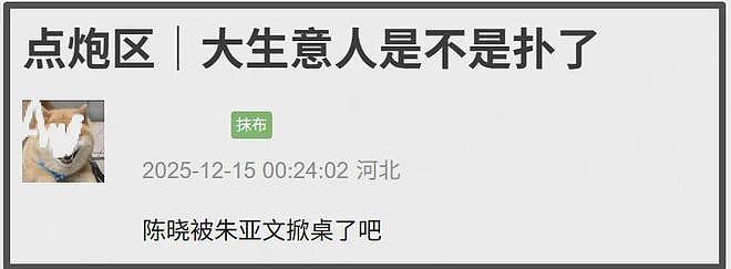 陈晓新剧黯然收官！口碑崩塌评论区沦陷，和前妻陈妍希对打输惨了（组图） - 7
