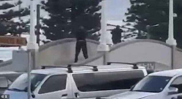 澳洲枪击惨案造大量伤亡,全网为中枪英雄狂捐百万,幸存者单亲妈妈募捐500块买手机,遭网友怒喷...(组图) - 17