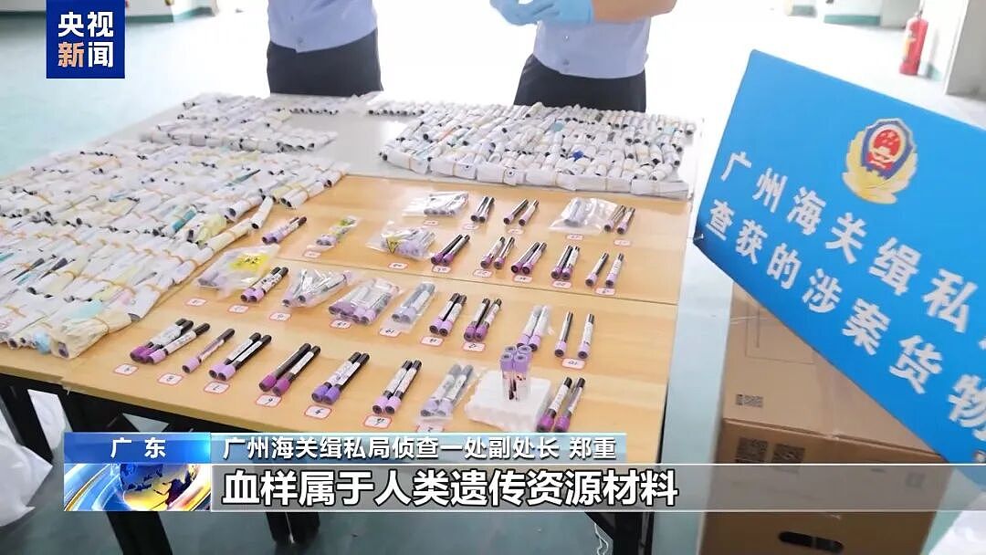 广东走私孕妇血样黑色产业链曝光，超10万人份（组图） - 13