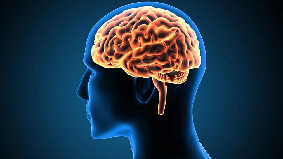 儿子过世，父母去殡仪馆领他衣物，打开一看傻了：怎么是人脑？（组图） - 3