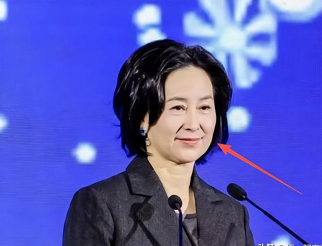 何超琼现身经济论坛,皮松肉垮不敢认,郭晶晶富态霍启刚好娇羞(组图) - 3