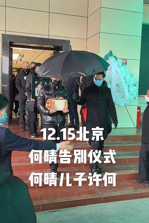 何晴的最后10年：患癌又中风，保姆陪伴左右，临终舍不得儿子（组图） - 26