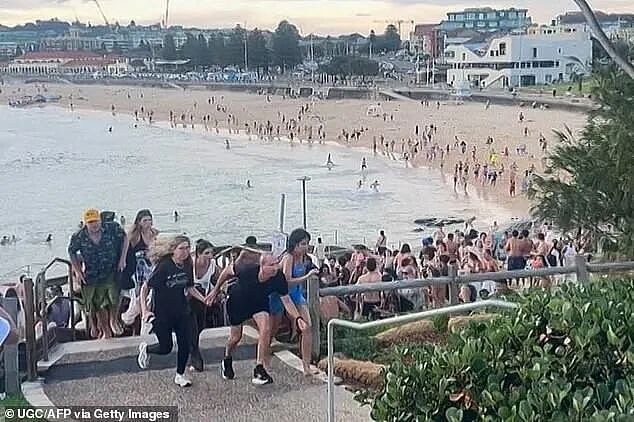澳洲枪击惨案造大量伤亡,全网为中枪英雄狂捐百万,幸存者单亲妈妈募捐500块买手机,遭网友怒喷...(组图) - 6