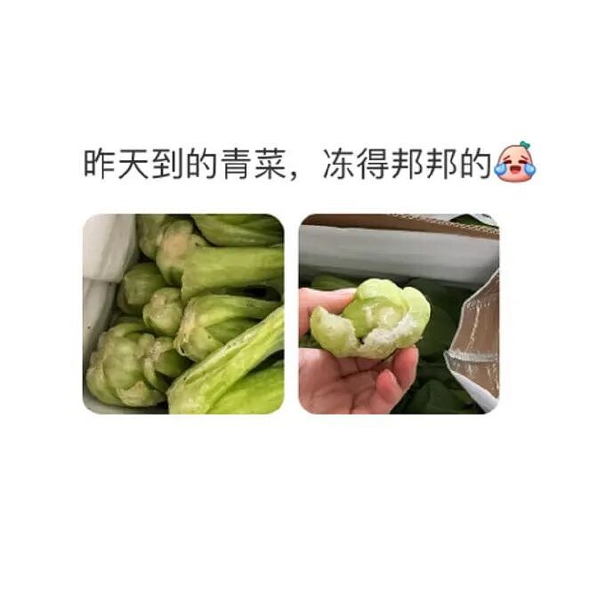 【爆笑】男朋友妈妈亲他腹肌正常吗?我该不该分手?(组图) - 41