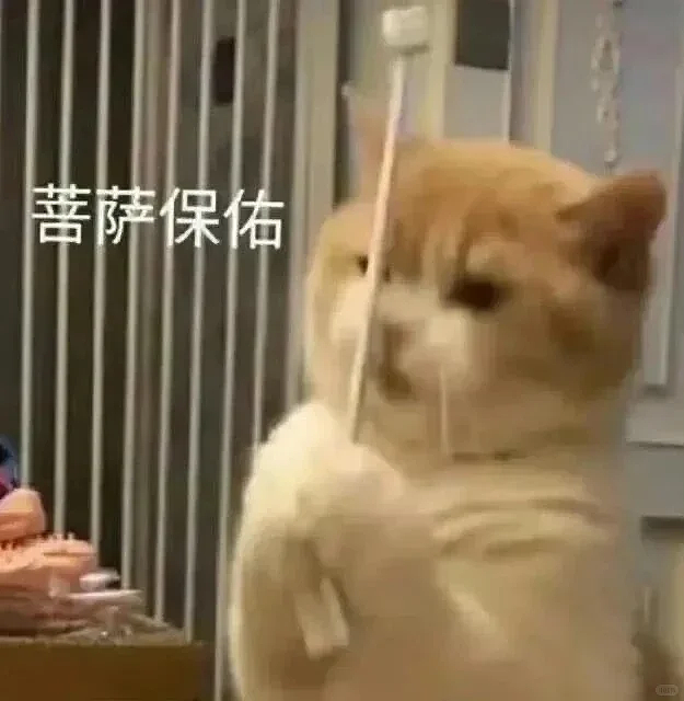 美澳接连发生惨案！悉尼海滩大规模枪击致16死40伤！海外留学如何守住生命防线（组图） - 7