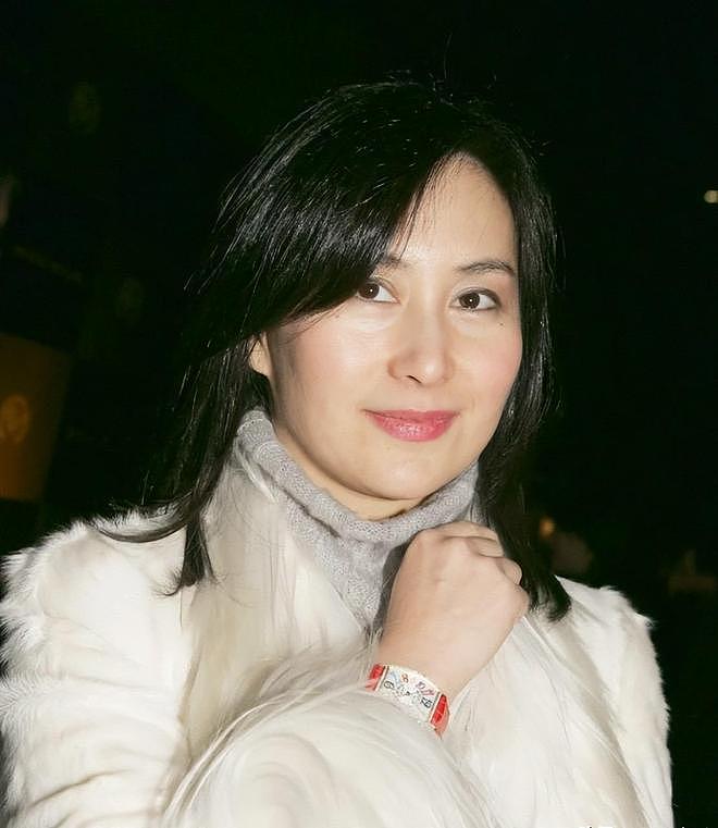 何超琼现身经济论坛,皮松肉垮不敢认,郭晶晶富态霍启刚好娇羞(组图) - 8