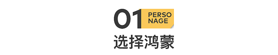 “鸿蒙极客”出圈：当技术人不再低调（组图） - 3