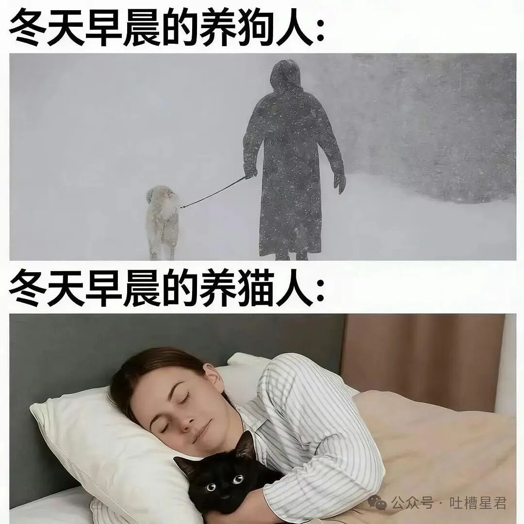 【爆笑】“发现男友给异性视频点赞后破防了…?”哈哈哈无能的妻子具像化了!(组图) - 24