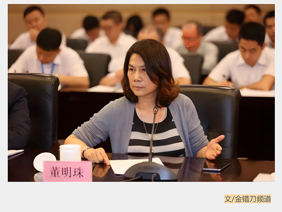 71岁董明珠,“得罪”美的海尔小米(组图) - 1