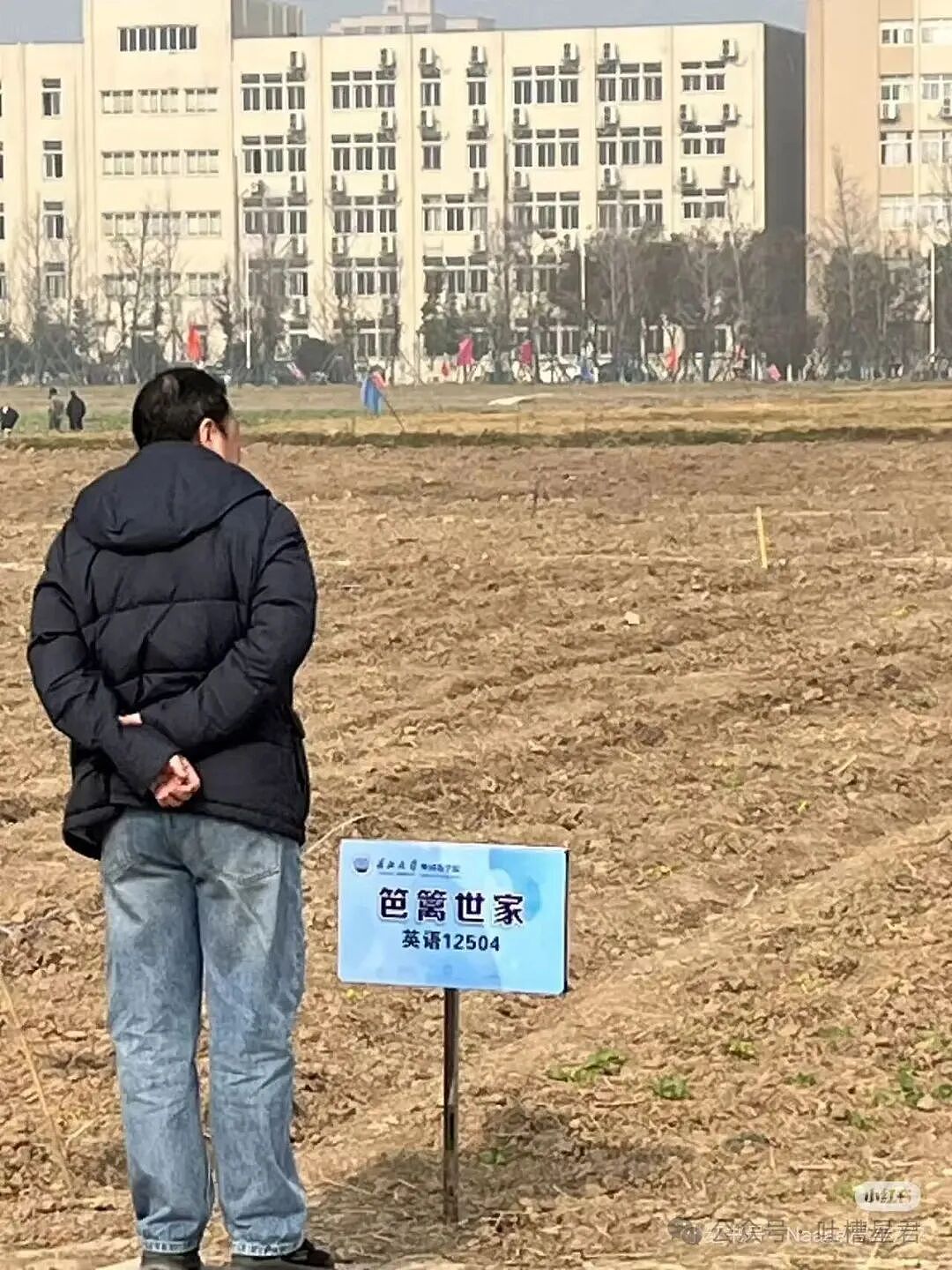 【爆笑】“发现男友给异性视频点赞后破防了…?”哈哈哈无能的妻子具像化了!(组图) - 73