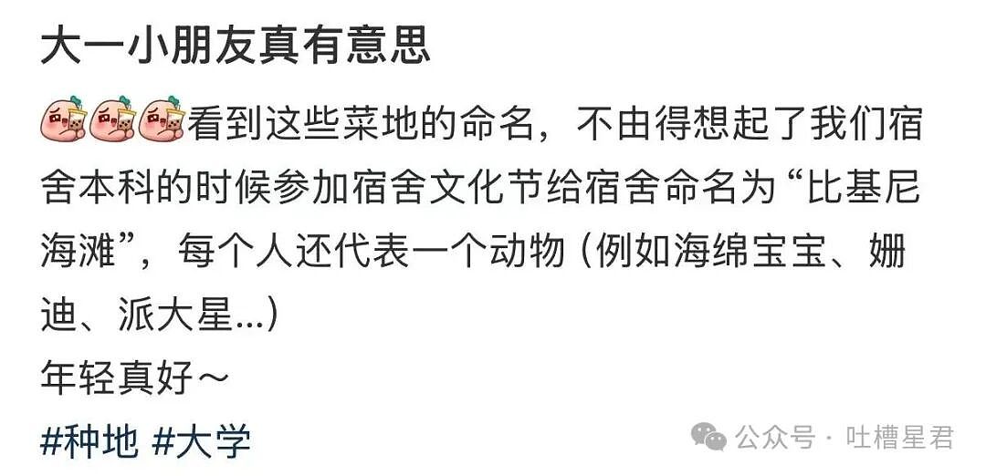 【爆笑】“发现男友给异性视频点赞后破防了…?”哈哈哈无能的妻子具像化了!(组图) - 71