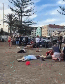 手枪40米开外直接爆头?邦迪海滩枪击案,嫌犯用的是什么枪?(组图) - 2