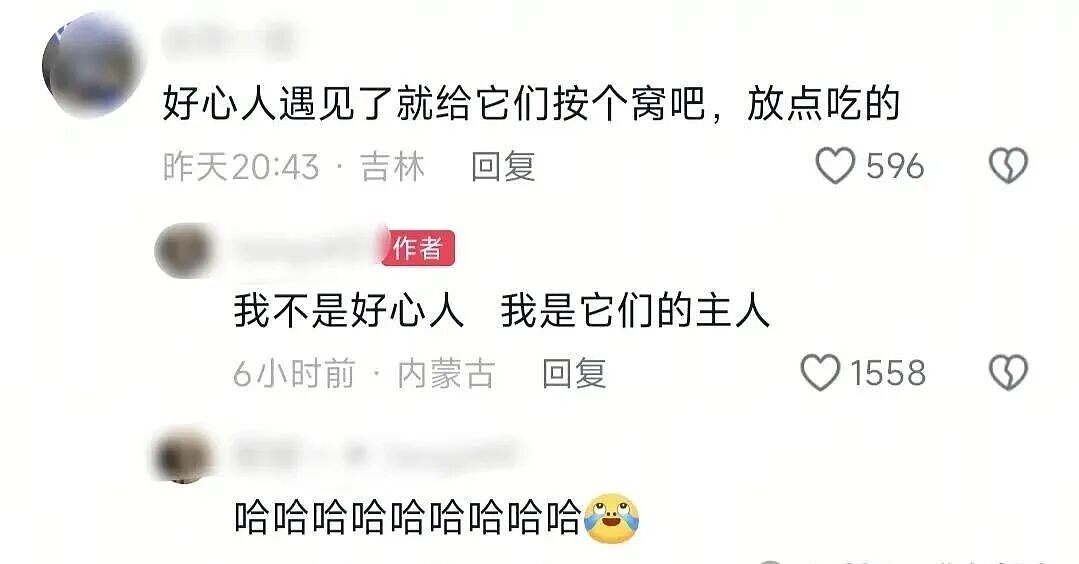 【宠物】救助站开蛋宰派对，80只猫同时嘎了160个蛋！晒出图片惊呆全网...网友抓狂：好像一盘水煮花生啊（组图） - 17