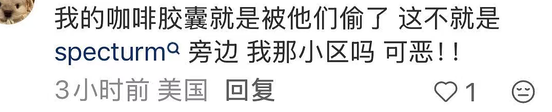 两华裔女子组团偷包裹,当场被抓!被曝住500万美元豪宅,或被判3年监禁(组图) - 14