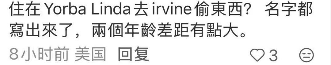 两华裔女子组团偷包裹,当场被抓!被曝住500万美元豪宅,或被判3年监禁(组图) - 10