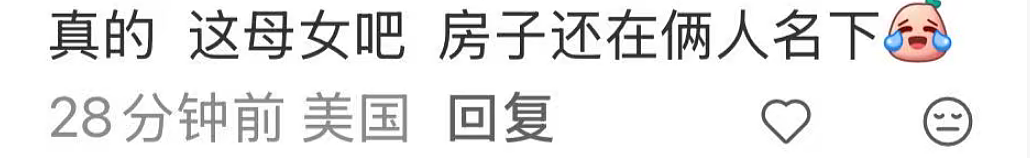两华裔女子组团偷包裹,当场被抓!被曝住500万美元豪宅,或被判3年监禁(组图) - 11